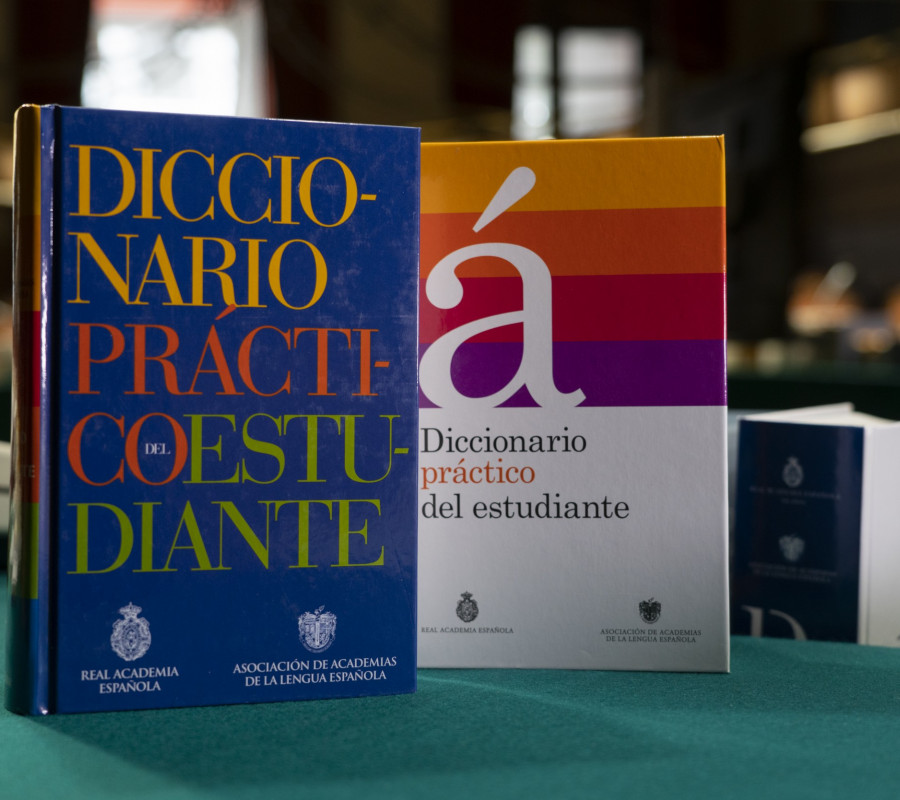 ¿Palabras bolivianas enviadas a la RAE con errores?